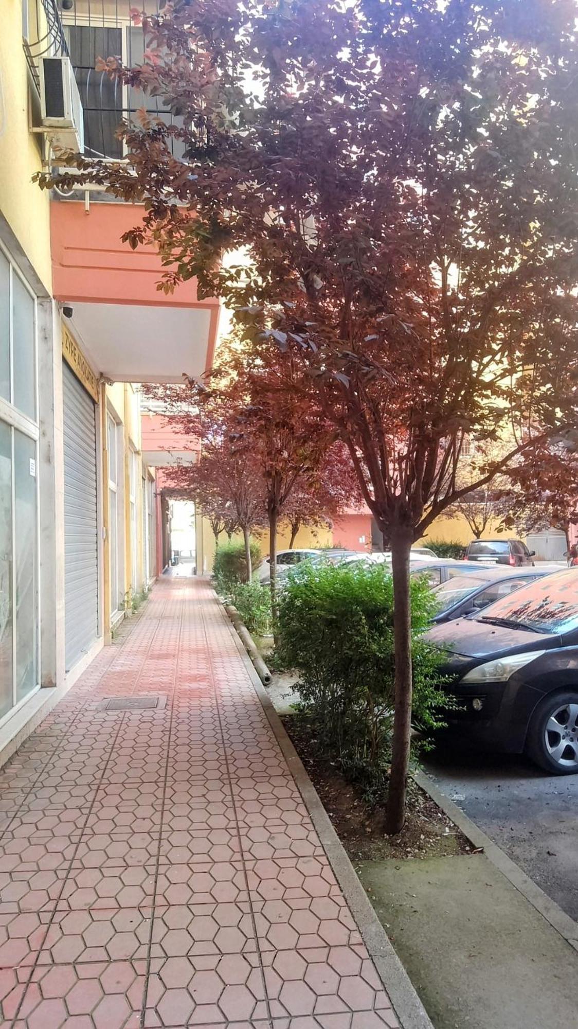 Vlore Apartament Apartament
